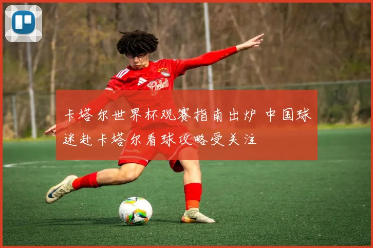 卡塔尔世界杯观赛指南出炉 中国球迷赴卡塔尔看球攻略受关注